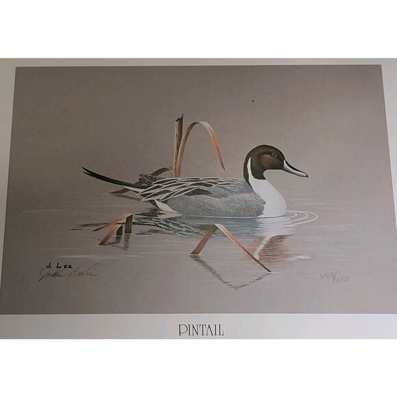 John P Lee 1983 Unframed print Pintail Duck #554/650 Pencil Signed 11⅛ x 10¼ - Picture 9 of 16